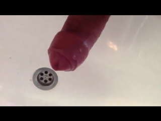 in the sink